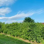 Im Gruenen Geniessen Apartment Friedrichshafen