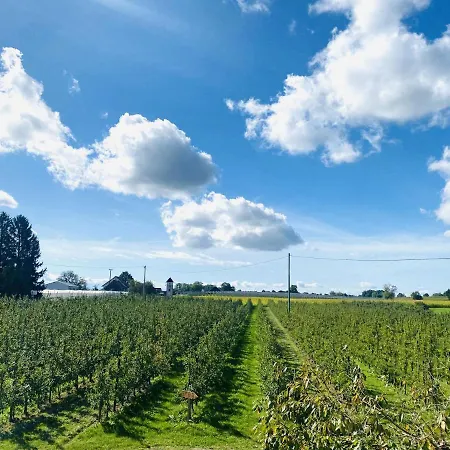 Im Gruenen Geniessen Appartement *