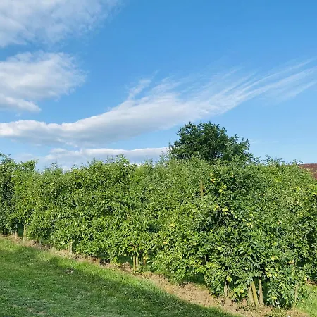 Im Gruenen Geniessen Appartement