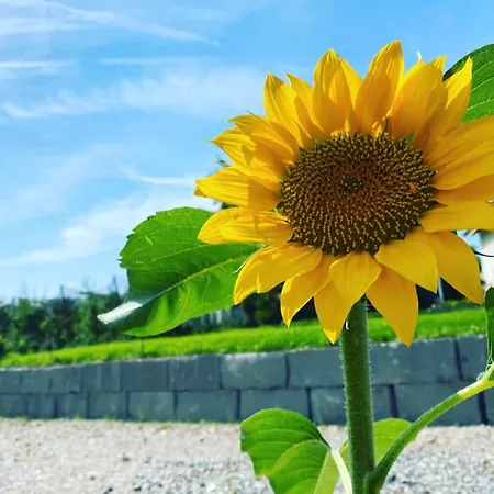 Im Gruenen Geniessen